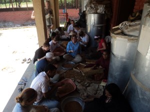 Seed sorting at Navdanya's seed bank with Saint Michael's College study tour