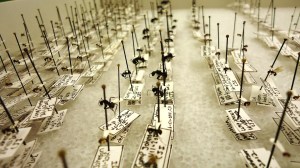 Curated ants from Vermont